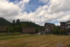 田舎の秋