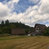 田舎の秋