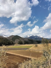 春の訪れ