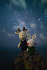 あみぐるみと星空