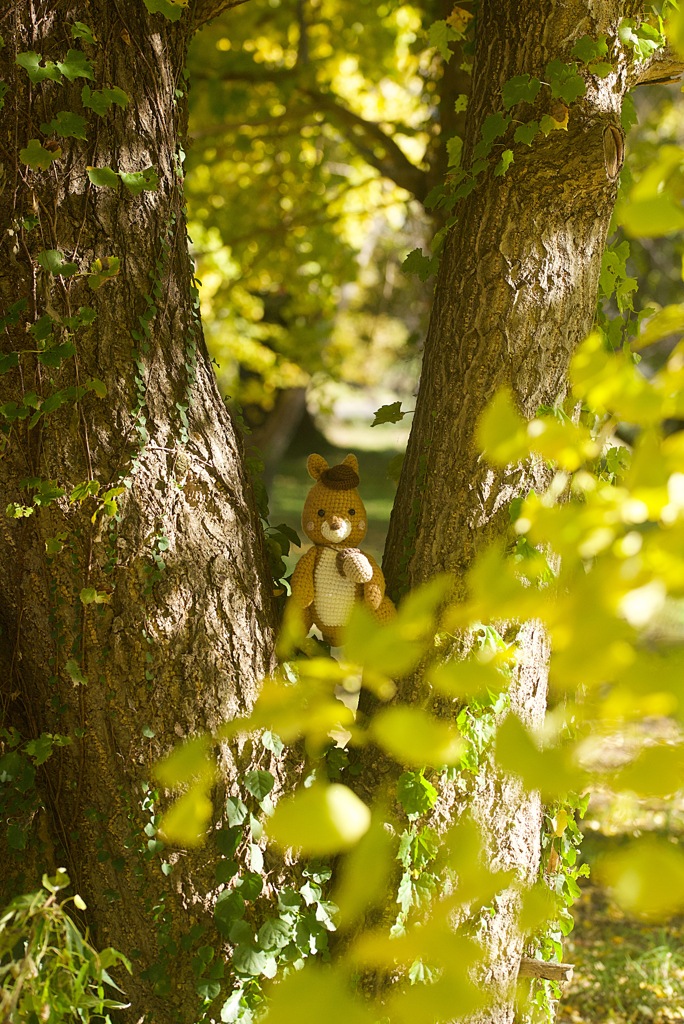 帽子を被ったりす