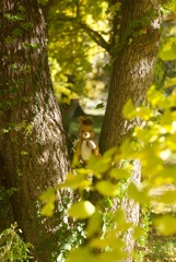 帽子を被ったりす