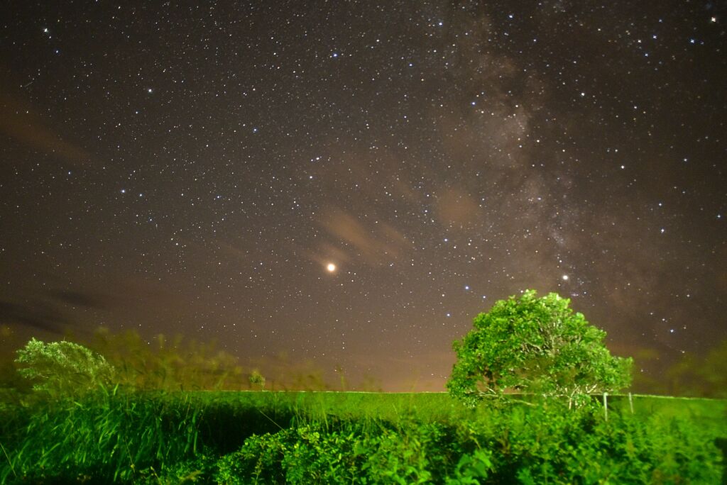 星