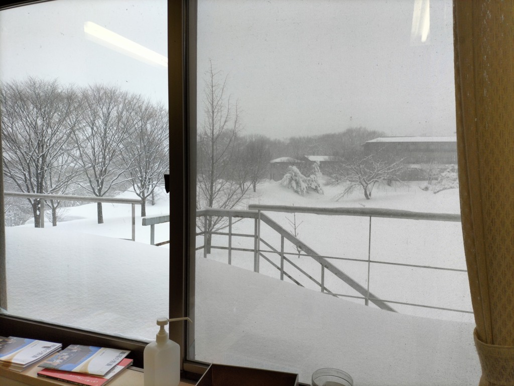 窓からの風景
