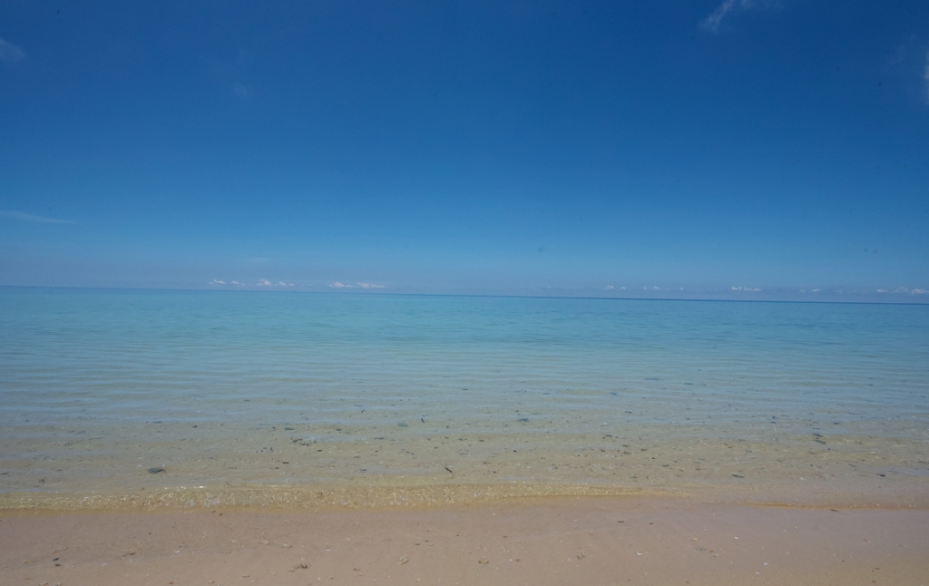 綺麗な砂浜