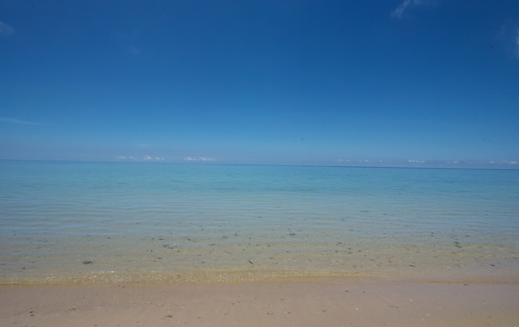 綺麗な砂浜