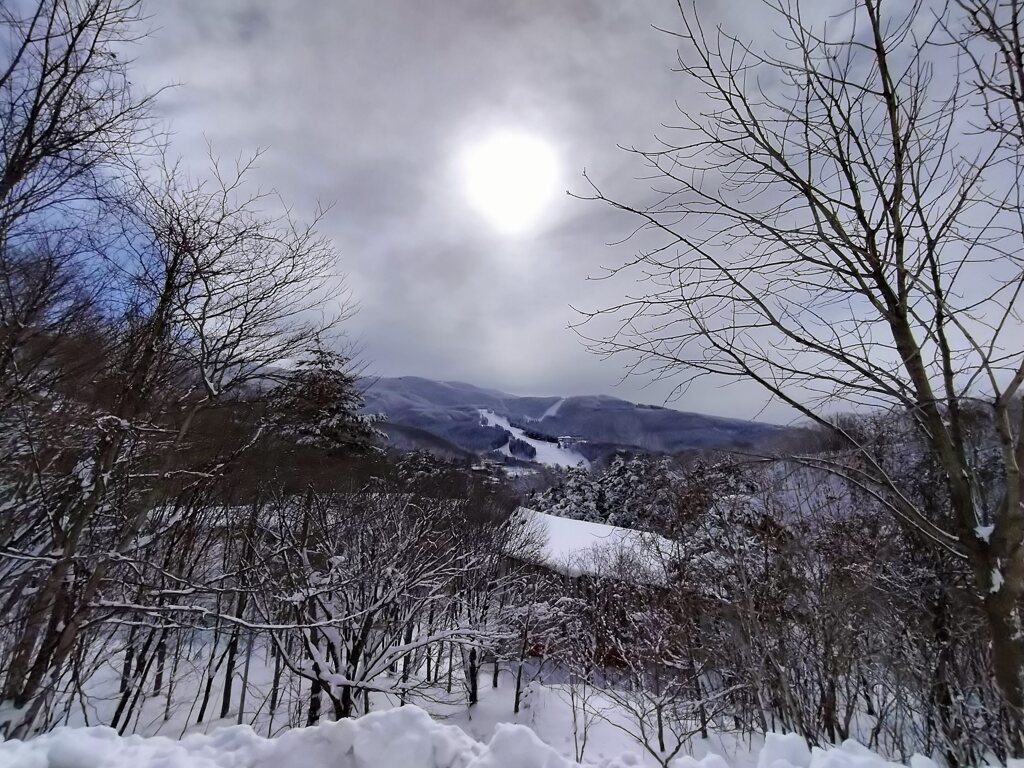 冬景色