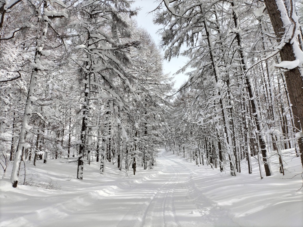 雪山道
