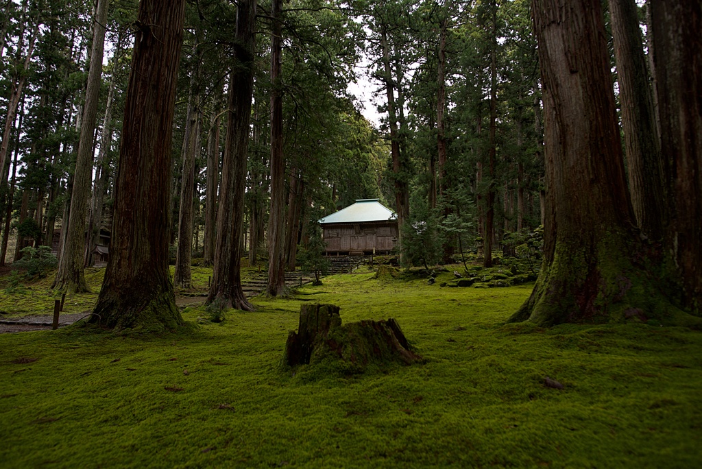 苔の寺