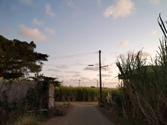 沖縄の夕方