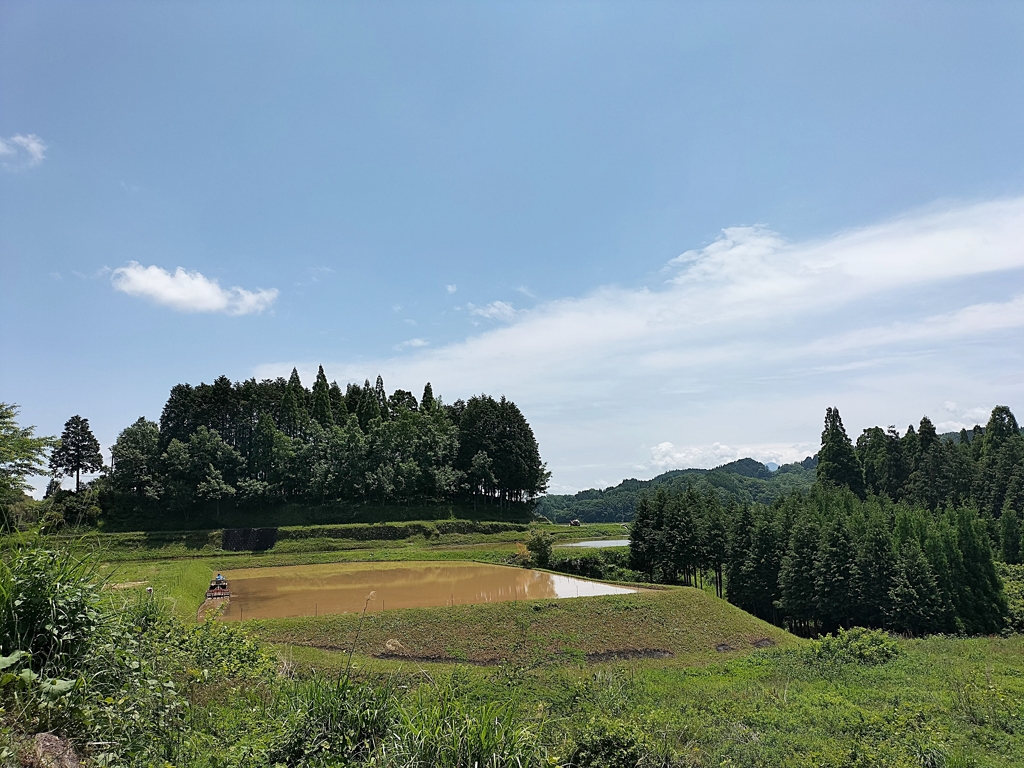 田植え始まりました