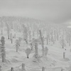 蔵王の樹氷