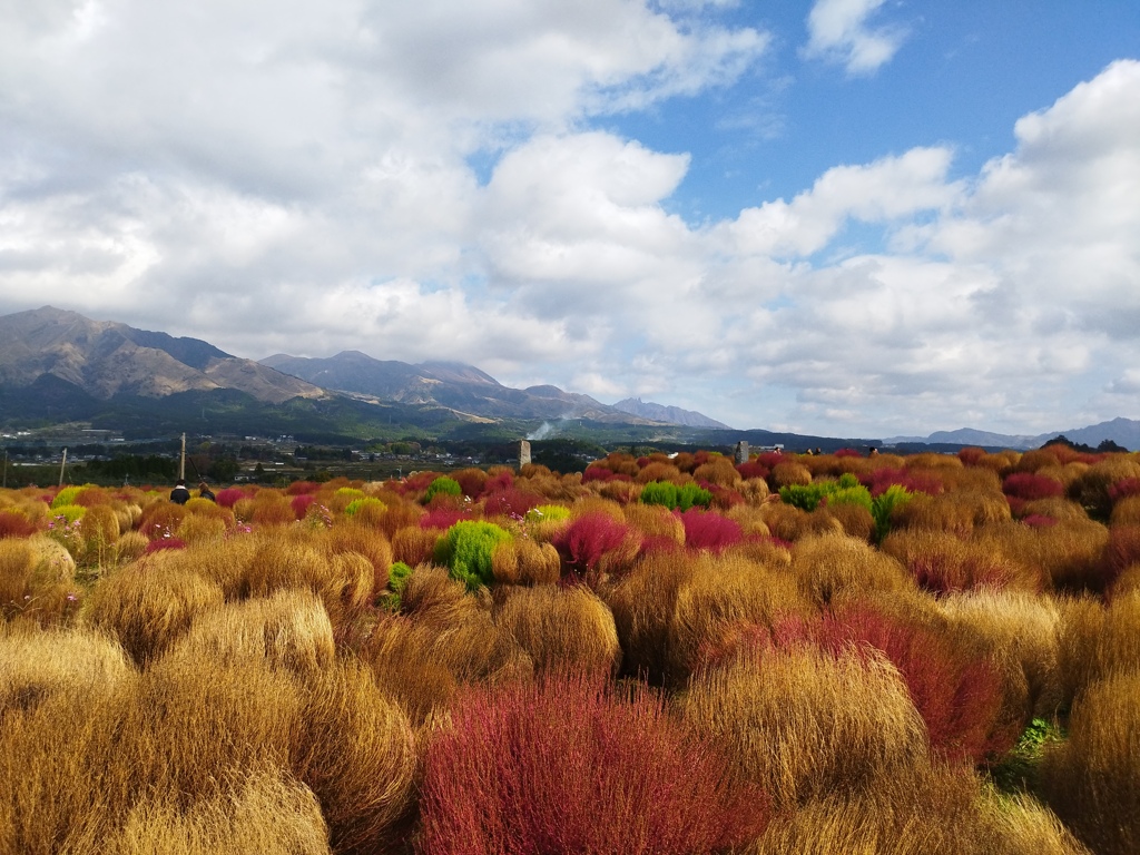 阿蘇の秋