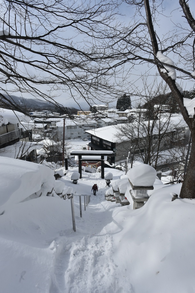 これって登れないよね・・・