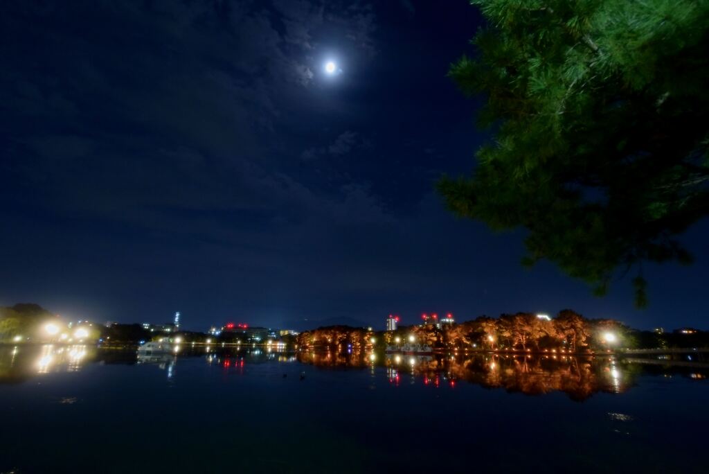 夜空