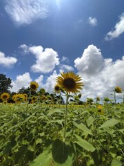 夏休み始まる〜