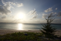 夕べの海辺にあったクリスマスツリー