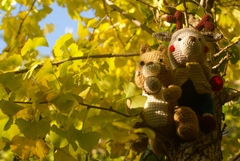 どこか遠くを見るあみぐるみ