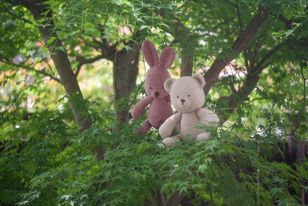 楓と仲良し動物