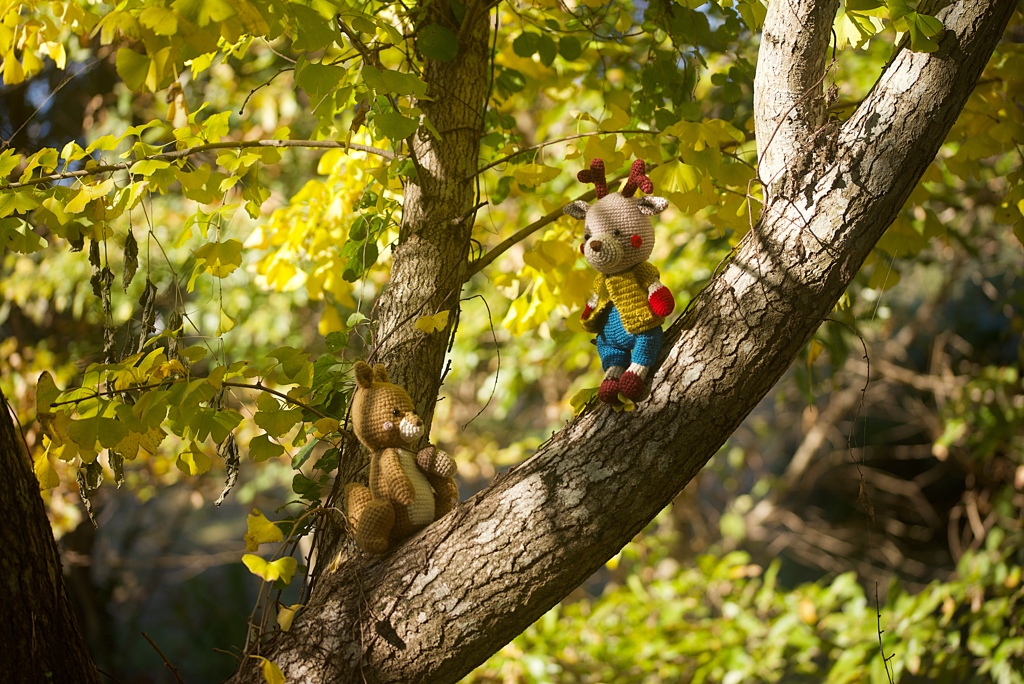 木で遊ぶトナカイとりす