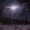 雪に照らされる木の影