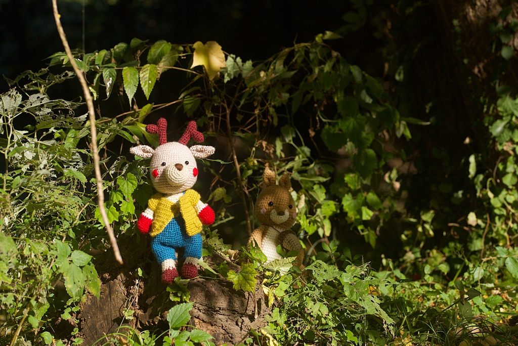 トナカイとりす