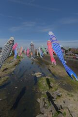 巨大な魚の影