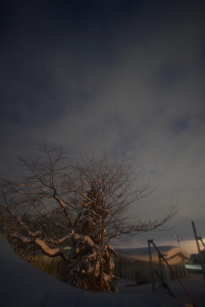 夜明けの雪景色