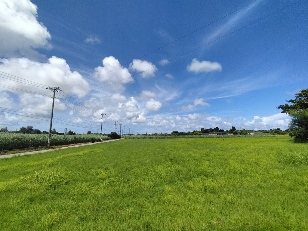 真夏の空気感
