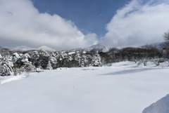 雪景色