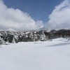 雪景色