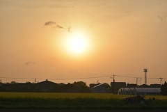 田舎の夕焼け