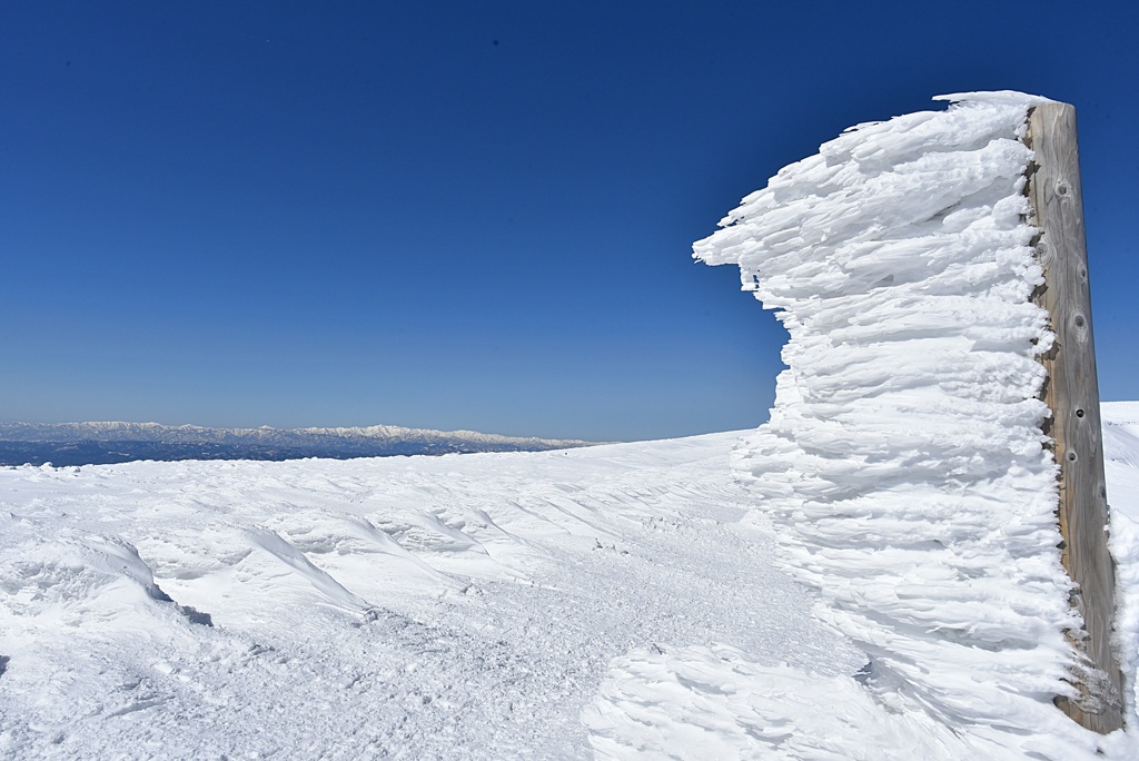 雪の看板