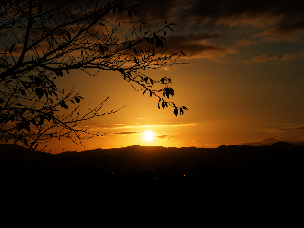 京都東山の高台寺付近からの夕日。