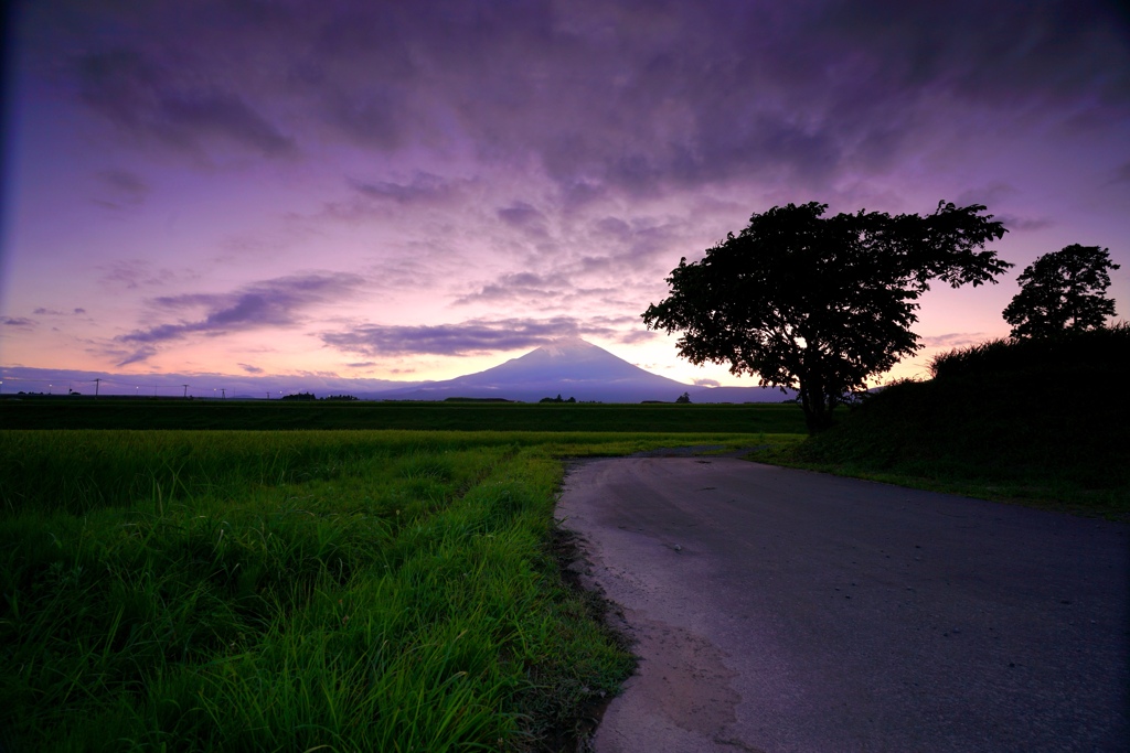 Mt Fuji