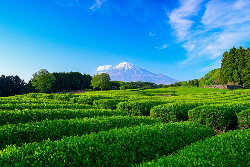 大渕笹場