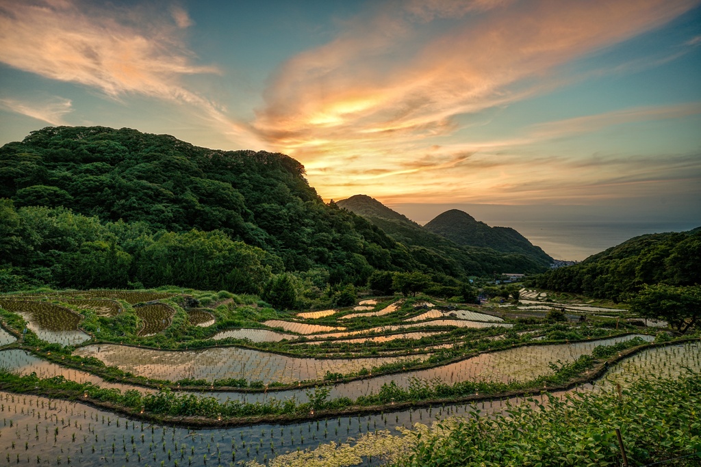 石部の棚田