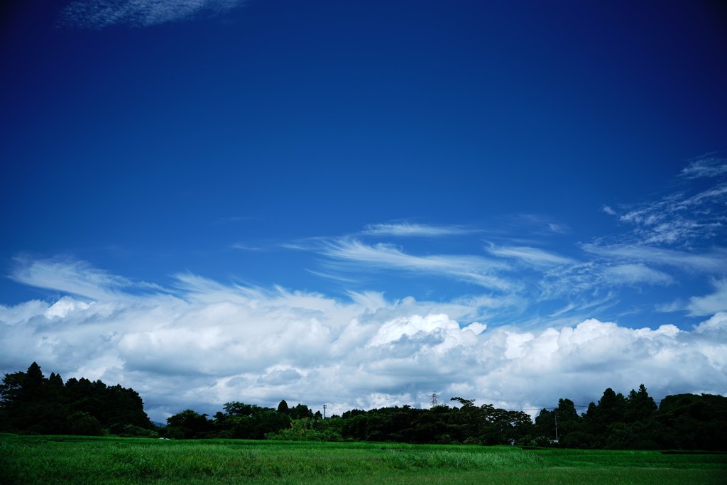 夏の空