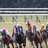 京都競馬場 10R 飛鳥ステークス　2024.2.10