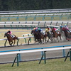 京都競馬場　2024.2.10  8R