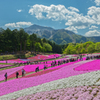 Hitsujiyama Park Chichibu Saitama