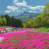 Hitsujiyama Park Chichibu Saitama