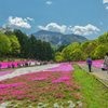 Hitsujiyama Park Chichibu Saitama