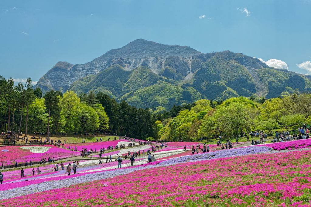 Hitsujiyama Park Chichibu Saitama