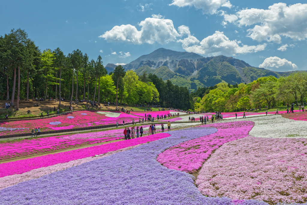 Hitsujiyama Park Chichibu Saitama