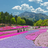 Hitsujiyama Park Chichibu Saitama