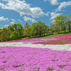 Hitsujiyama Park Chichibu Saitama