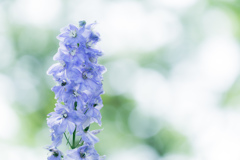 公園お写んぽ。