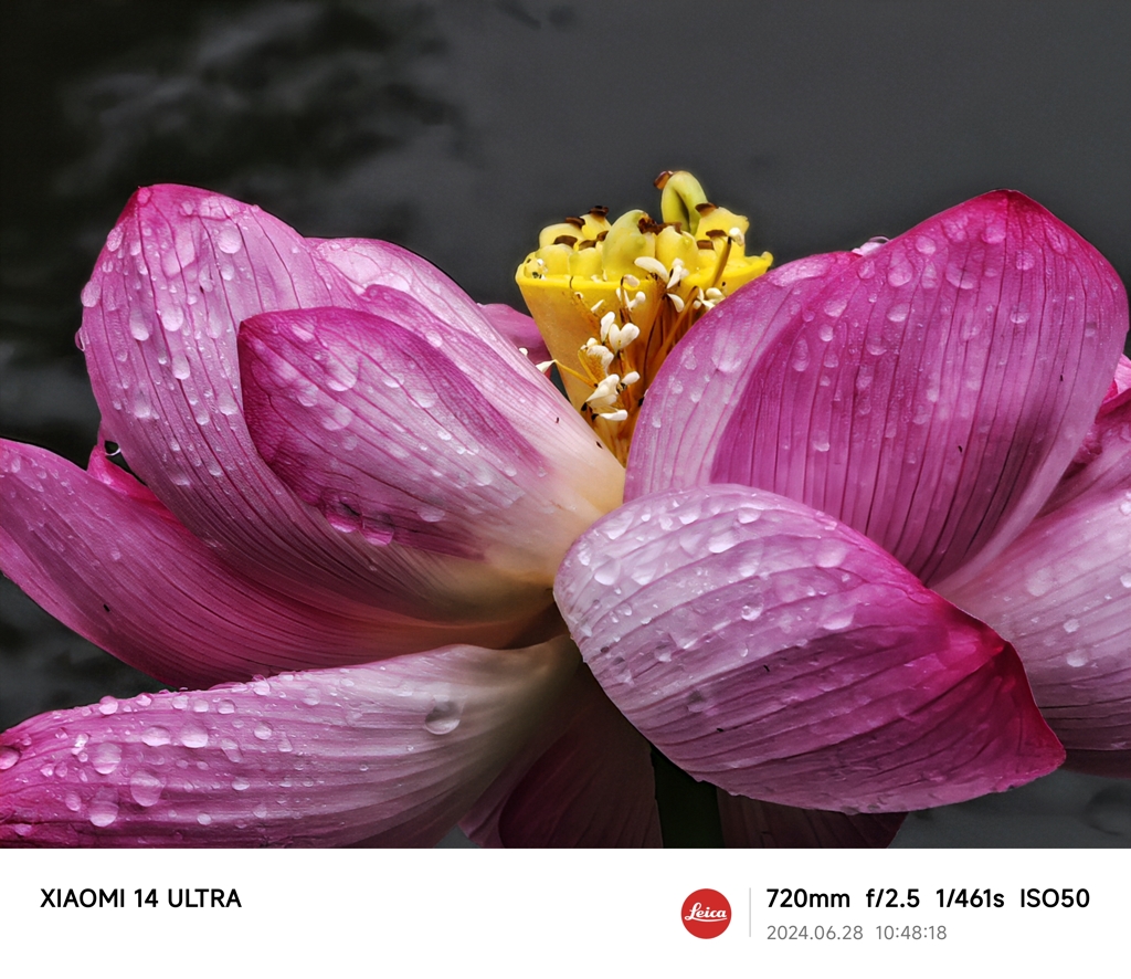 花。