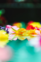 水花。